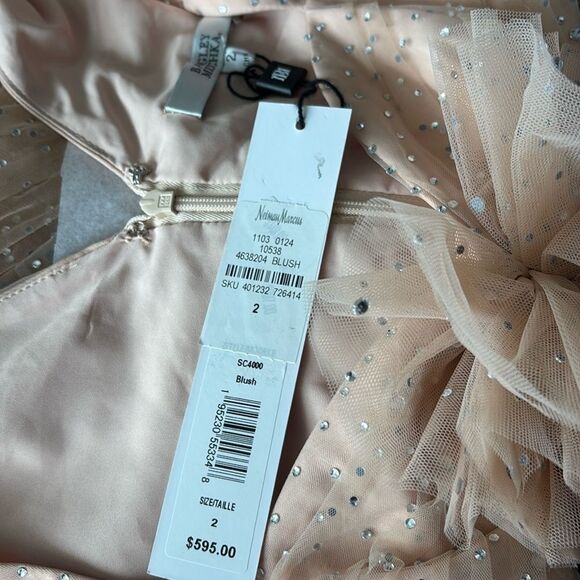 Badgley Mischka Party Crystal-Embellished Mini Dress Blush Size 2 NWT $595 - Picture 6 of 7